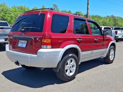 2007 Ford Escape XLT