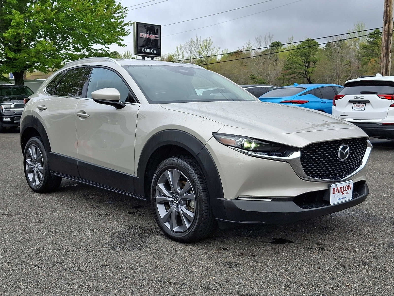 2024 Mazda Mazda CX-30 2.5 S Premium Package